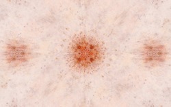 2014 04 30 Webs and Things 60-white.jpg